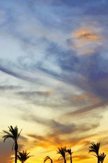 hotel safir, hurghada