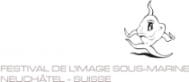 Festisub