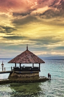 Dolphin House, Moalboal